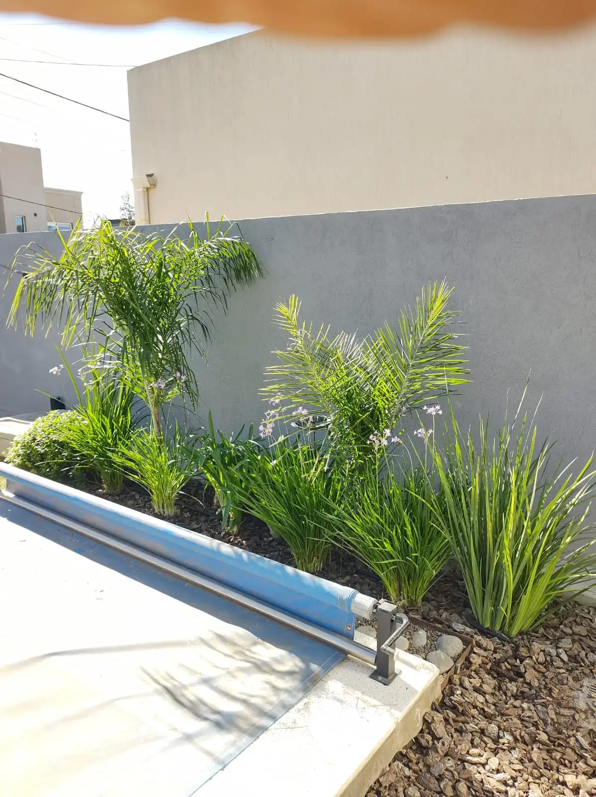 Trabajo de jardinería en Bahía Blanca