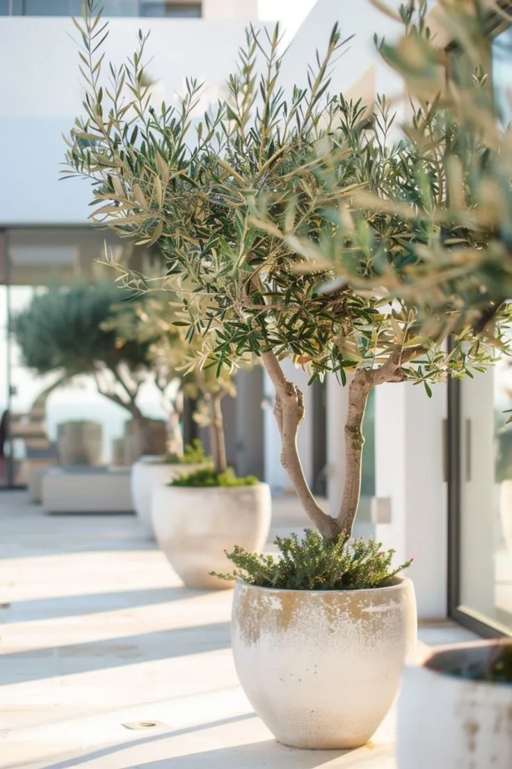 DECORACIÓN CON PLANTAS Y MACETAS: Vida en cada rincón
